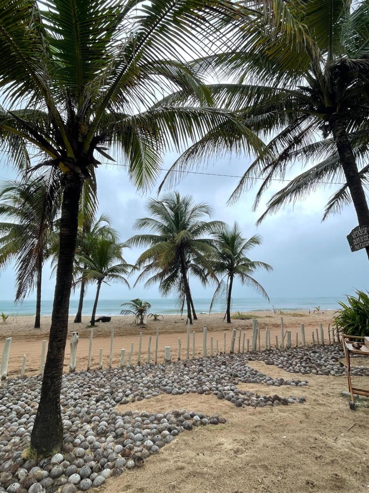 Beira Mar Ococoloco Alojamento de Turismo Selvagem *